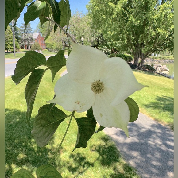 Meet your Posher, Katie - Picture 1 of 1